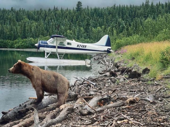 Wildlife at Bear Trail Lodge