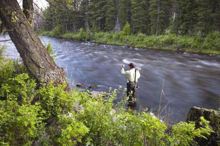 Fly fishing at The Ranch at Rock Creek