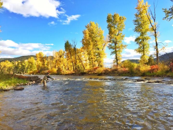 Fall fly fishing Montana
