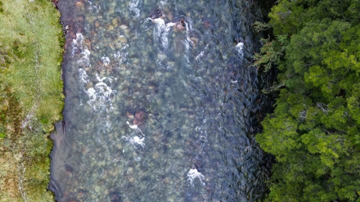 Manihuales Eco Lodge river