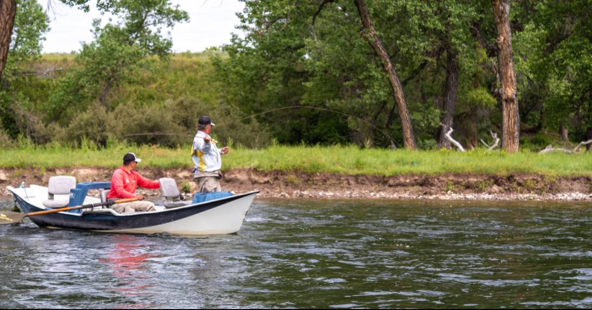 Where To Fly Fish All Year Round: Top Travel Tips From an Angling ...